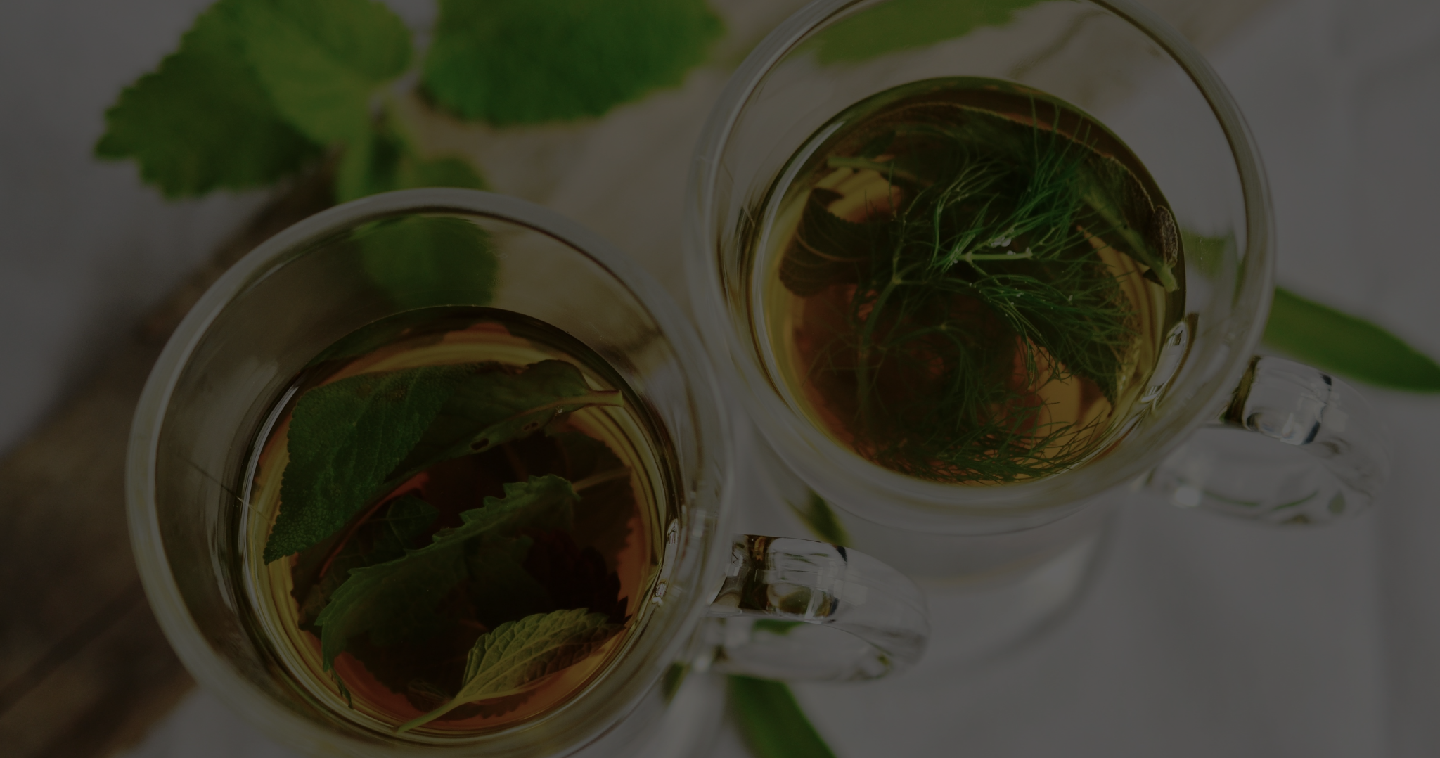 collection-banner-image